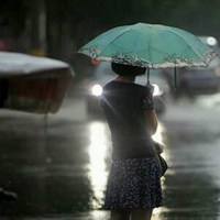 淋雨背影图片女图片