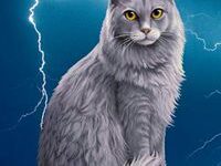 猫武士帅气头像-爱微控