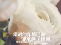 等待一个人的伤感图片,表达真心默默等待一个人带字图片,独自等待-爱微控