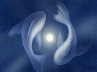 梦幻星空,双鱼座的头像-爱微控