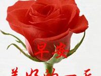 让妈妈满意的微信头像-爱微控