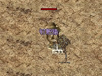 钉耙猫头像-爱微控